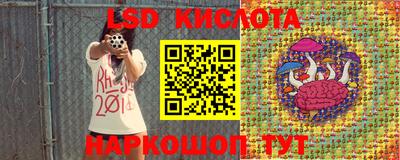 сатива Бузулук