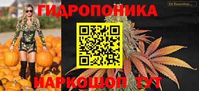 сатива Бузулук