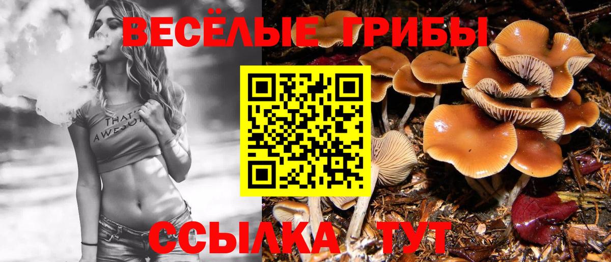 Краснознаменск  Галлюциногенные грибы мицелий  Галлюциногенные грибы MAGIC MUSHROOMS  где купить наркоту  Вход с VPN 